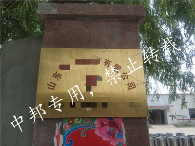 恭賀山東XX服飾2021年2月順利通過索迪斯驗廠